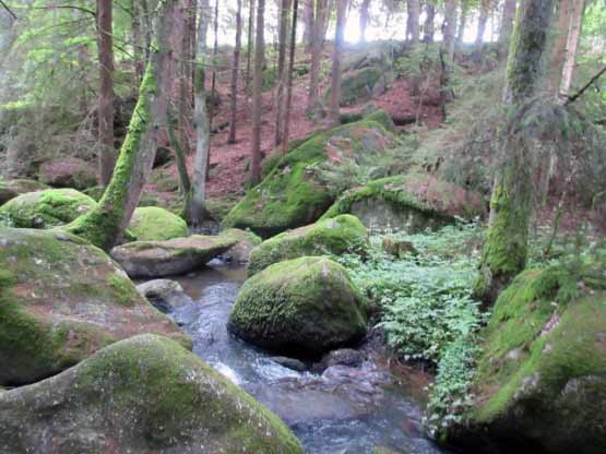 Uriges Bachtal