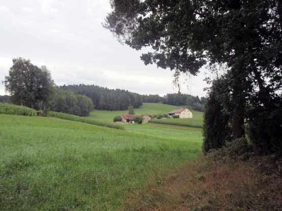 Zurück zum Bauernhof