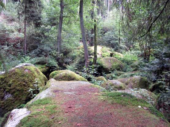 Oft wird der Bach von den Felsen verschluckt.