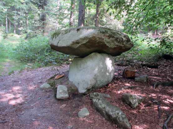 Steinpilz im wahrsten Sinne des Wortes.