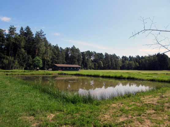 Wir parken an diesem Fischteich.