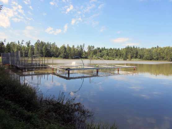 Kreislerweiher