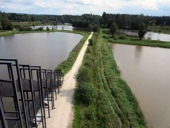 Blick in Richtung Tirschenreuth