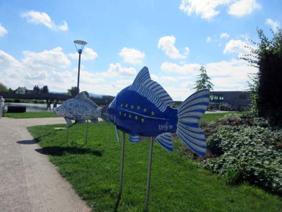 Fische am Fischhofpark