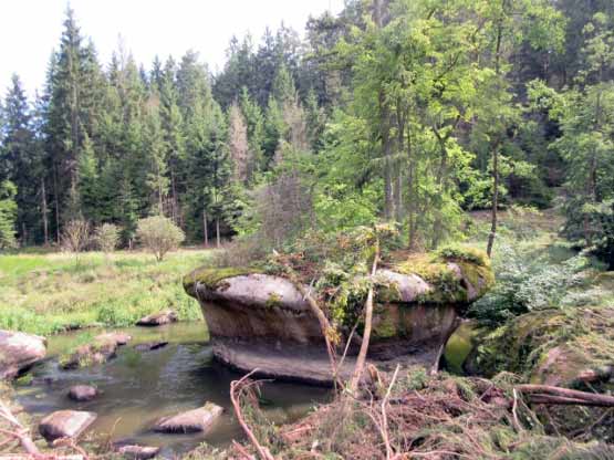 Viele Felsen liegen in der Waldnaab.