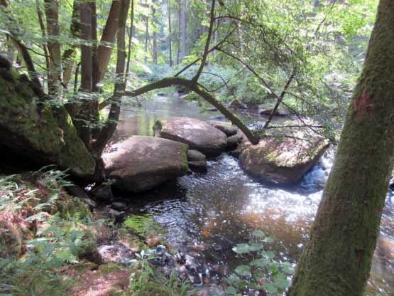 Felsen im Wasser