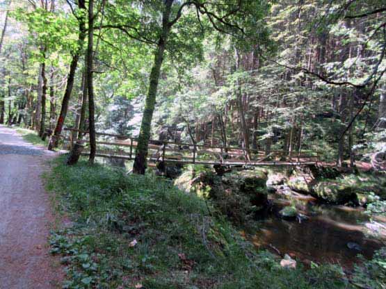 Der Steg über die Waldnaab.