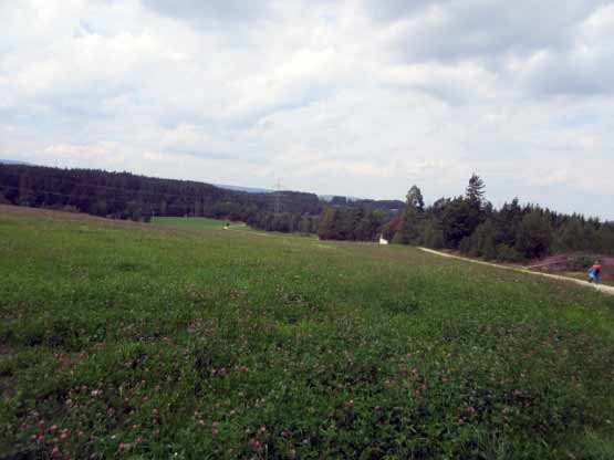 Zurück zur Hammermühle