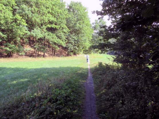 Wiesensteg im Fichtelnaabtal