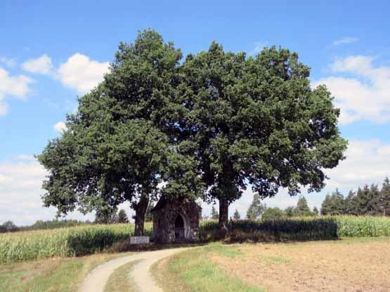 Eine der vielen bayrischen Kapellchen am Wegesrand