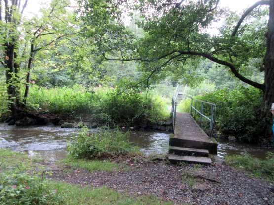 Fußgängerbrücke über zwei Waldnaabarme